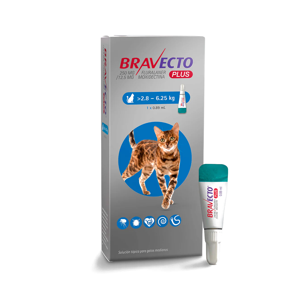 Bravecto Plus Gatos 2,8-6,25kg — Antipulgas, Garrapatas y Antiparasitario Interno | MSD