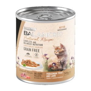 Vitalcan Balanced Gato Cachorro Trucha y Cordero Patagónico 340g — Húmedo Grain Free | Vitalcan