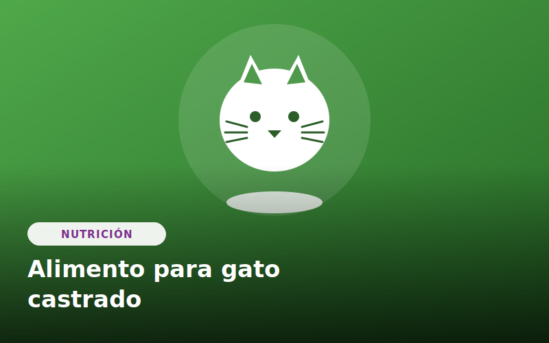 Alimento para gato castrado
