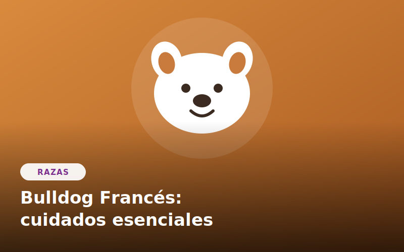 Bulldog Francés: cuidados esenciales