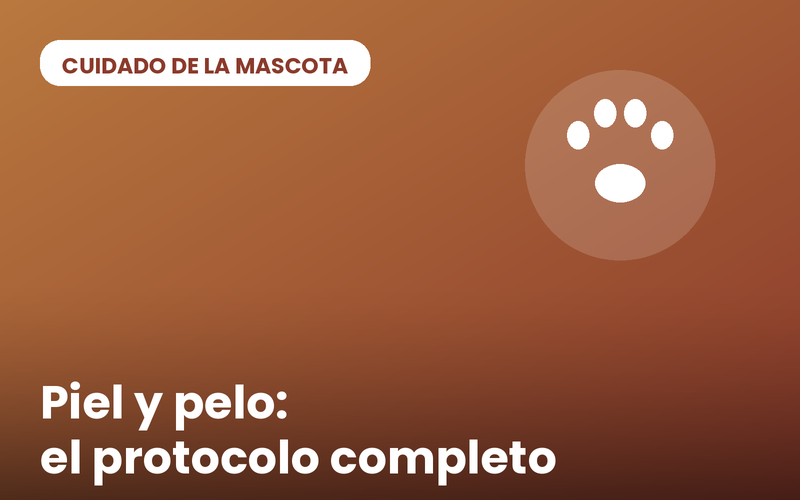 Cuidado de la piel y el pelo: el protocolo completo